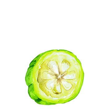 1 جارسينيا بلس - Forever Garcinia Plus 2 garcinia cambogia